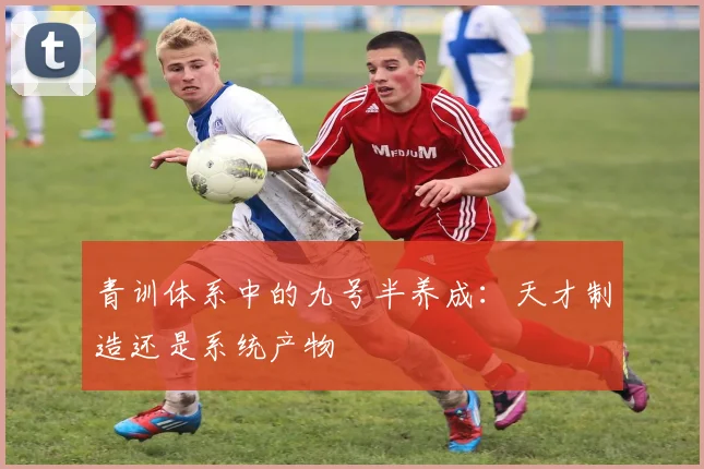 青训体系中的九号半养成：天才制造还是系统产物