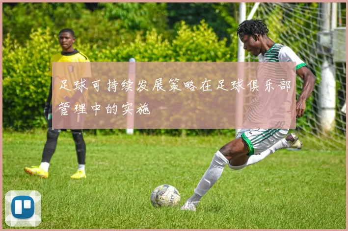 足球可持续发展策略在足球俱乐部管理中的实施