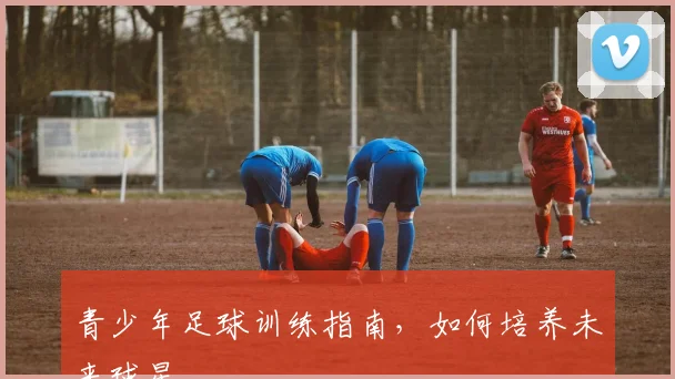青少年足球训练指南，如何培养未来球星