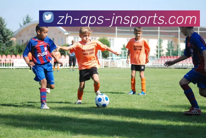 江南体育平台生态图